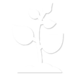 icona iso14001