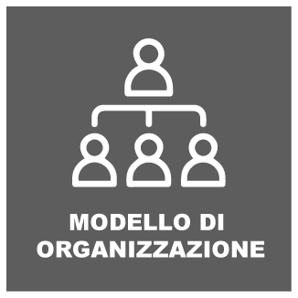 icona modello_orgnizzazione-2